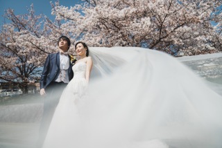 ENISHI PHOTO WEDDING_【桜ロケーション】