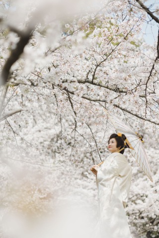 ENISHI PHOTO WEDDING_【桜ロケーション】