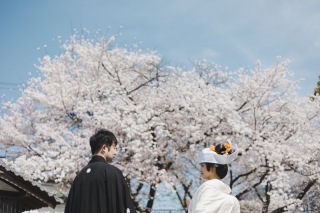 ENISHI PHOTO WEDDING_【桜ロケーション】