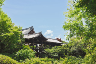 ENISHI PHOTO WEDDING_3月、4月、　5月のおすすめロケーション