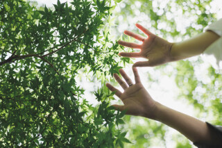 ENISHI PHOTO WEDDING_6月、7月、　8月のおすすめロケーション