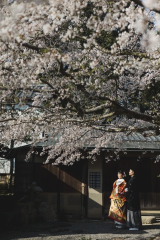 ENISHI PHOTO WEDDING_【桜ロケーション】
