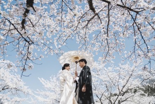 ENISHI PHOTO WEDDING_【桜ロケーション】