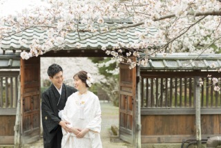 ENISHI PHOTO WEDDING_【桜ロケーション】