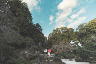 ENISHI PHOTO WEDDING_1月、2月おすすめロケーション