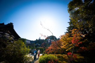 季節感がより感じる彩りを表現いたします。