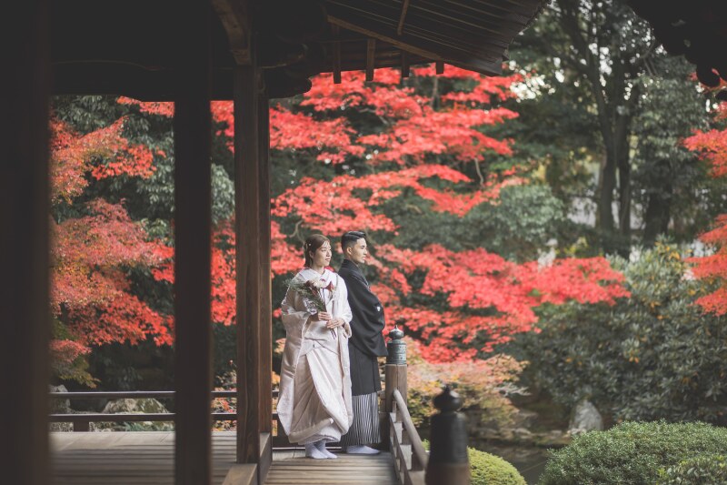 【ALLロケプラン20%OFF】すでに問い合わせ増えています!秋シーズンお早めに 176,000円→140,800円