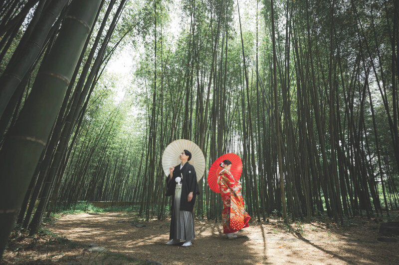 【プラン50%OFF】衣装が2着着れる和ロケ＋洋ロケプラン！3/31までに撮影でに適用　283,800円&rarr;141,900円