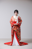 花車　鳳凰金唐草　蝶菊IU01044