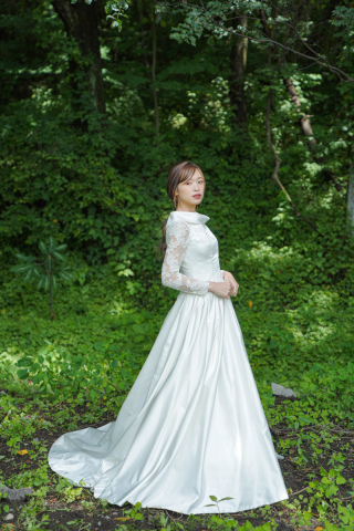 ロールカラーレーススリーブ　11159