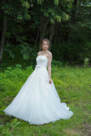 シャンティレースゴールド　刺繍62943