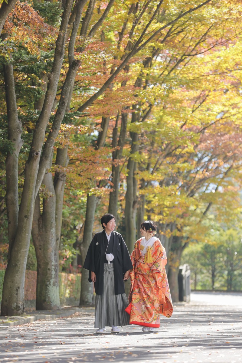木漏れ日が差し込む紅葉の並木道