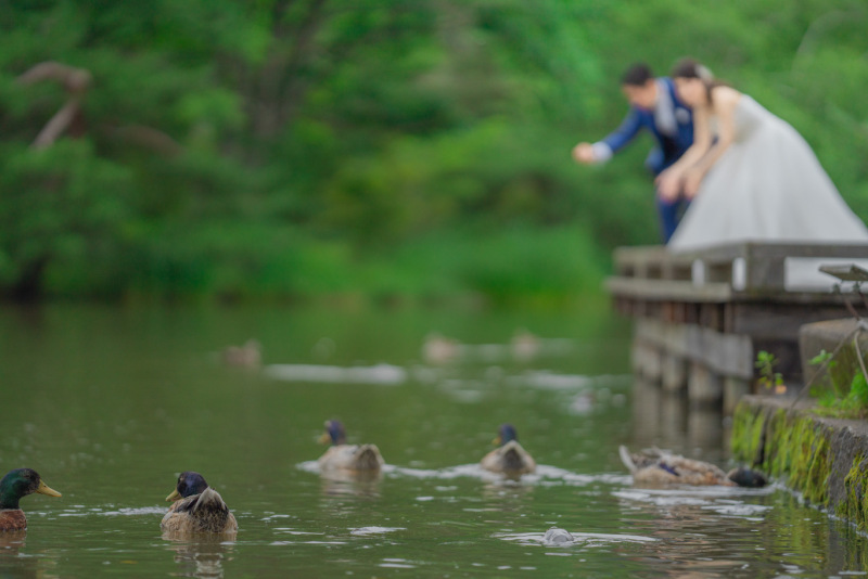 雰囲気ショット