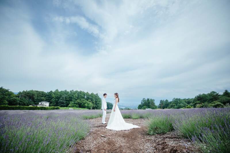 軽井沢のラベンダー畑