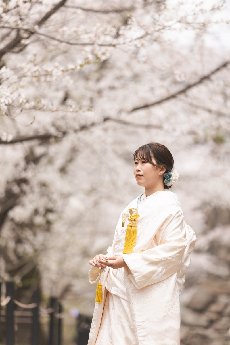 お綺麗すぎます。