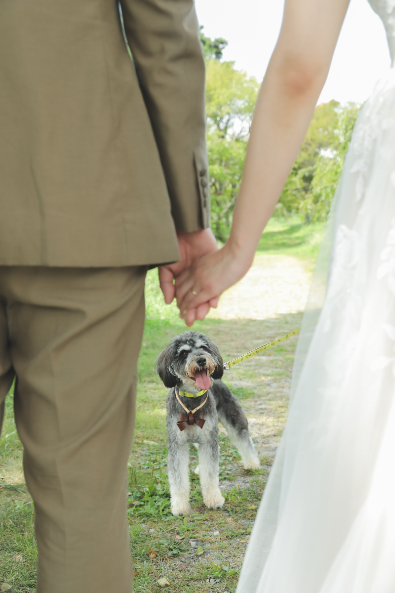 2人のことがとっても気になるロクちゃん。