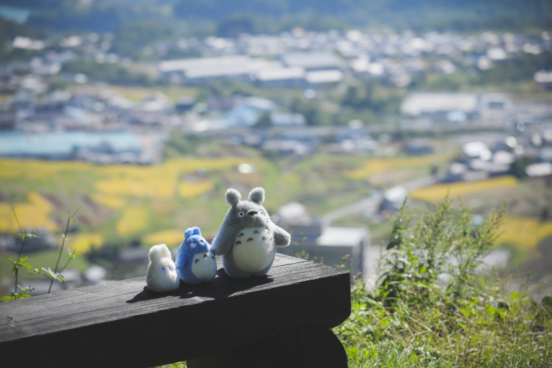 そして飯縄山へ。そしてトトロ