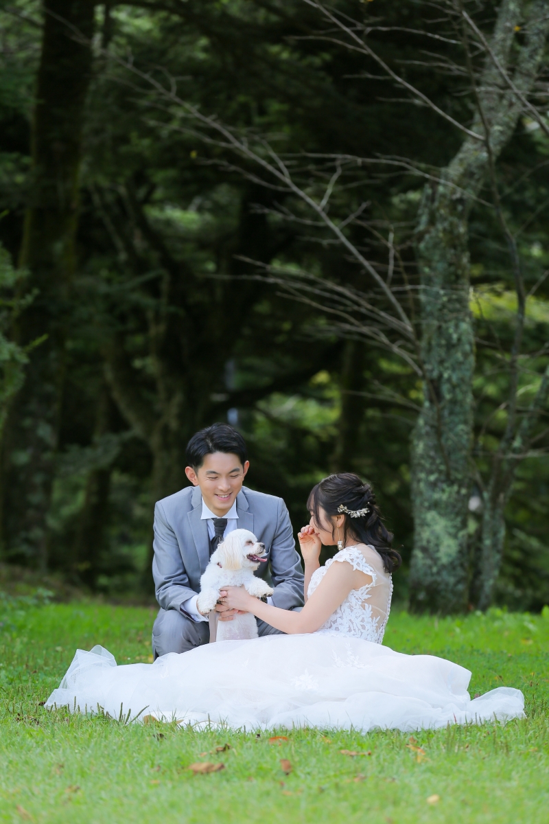 ワンちゃんの表情に注目！