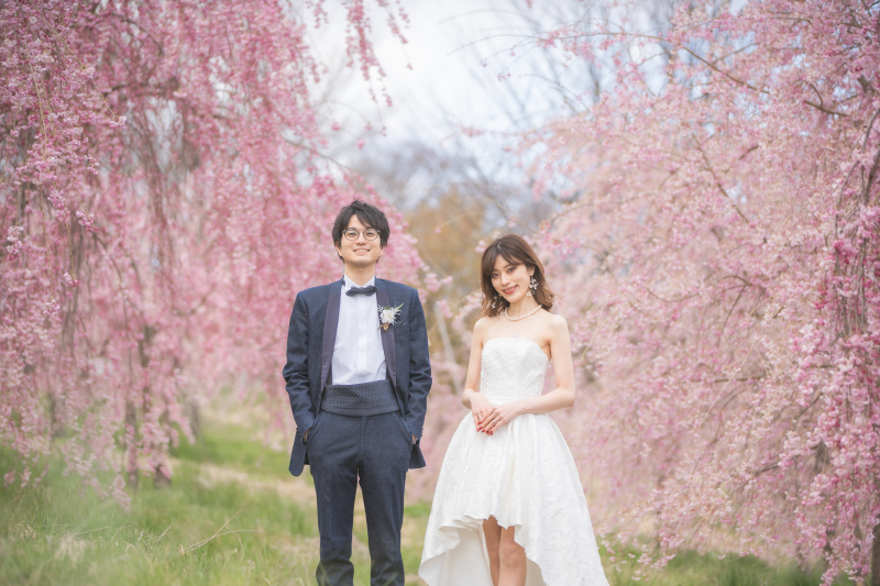 写真に映えるピンクの桜が可愛い！