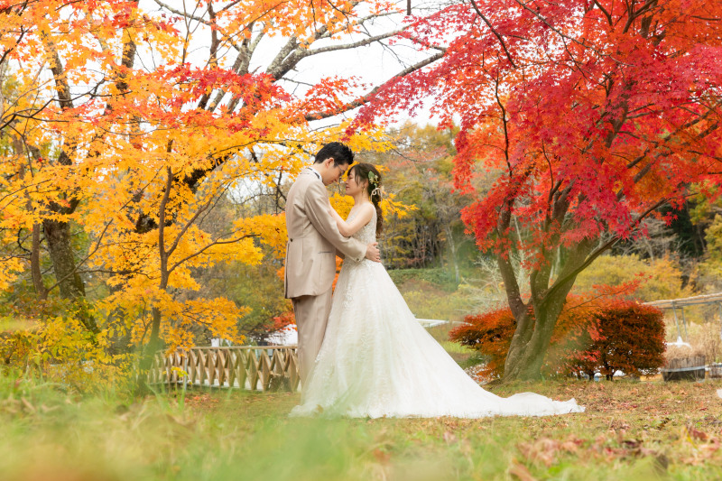 寄り添う温もり