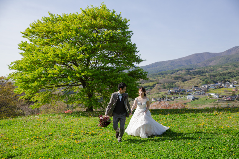 遊びに行こう！