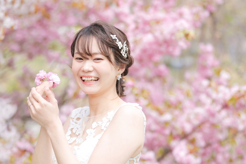 一面のピンク！