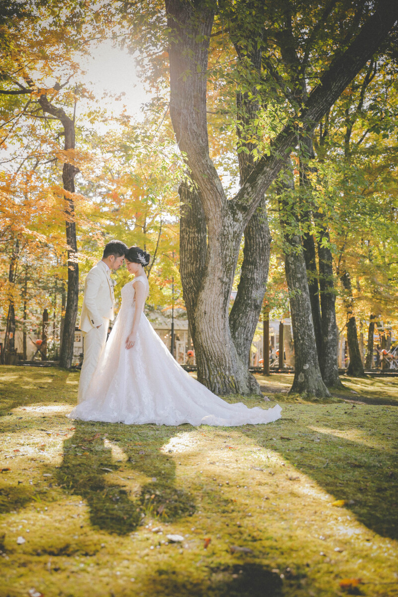 素敵な光もありました！