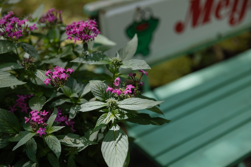 撮影ありがとうございました！