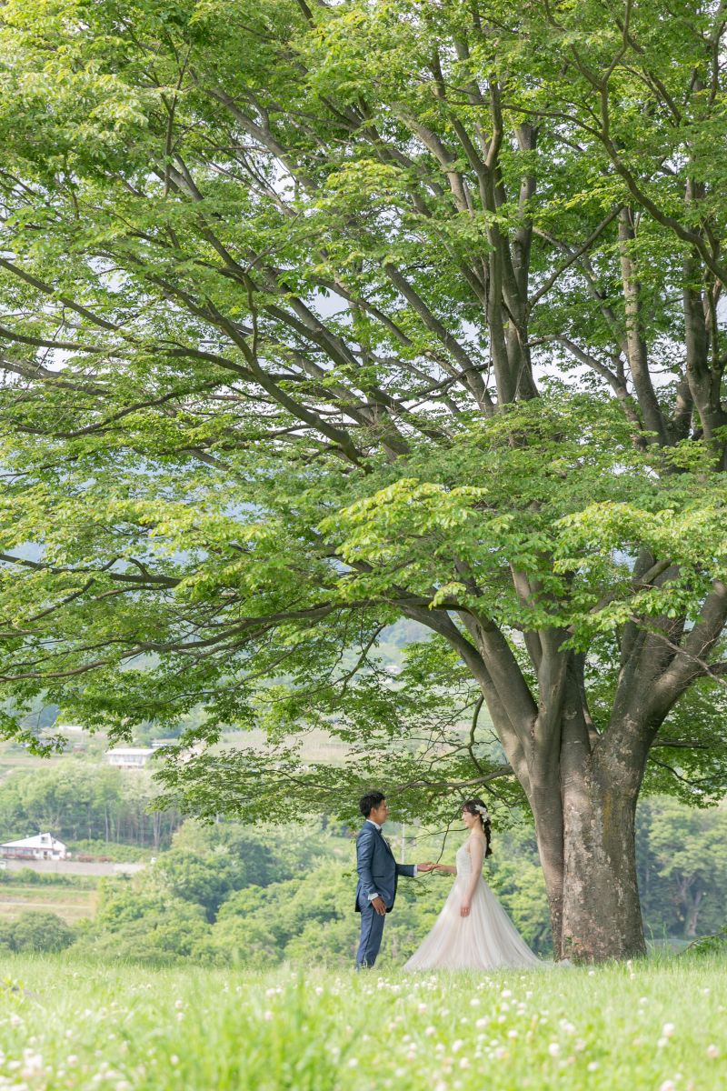ドレスで撮影は飯綱山公園