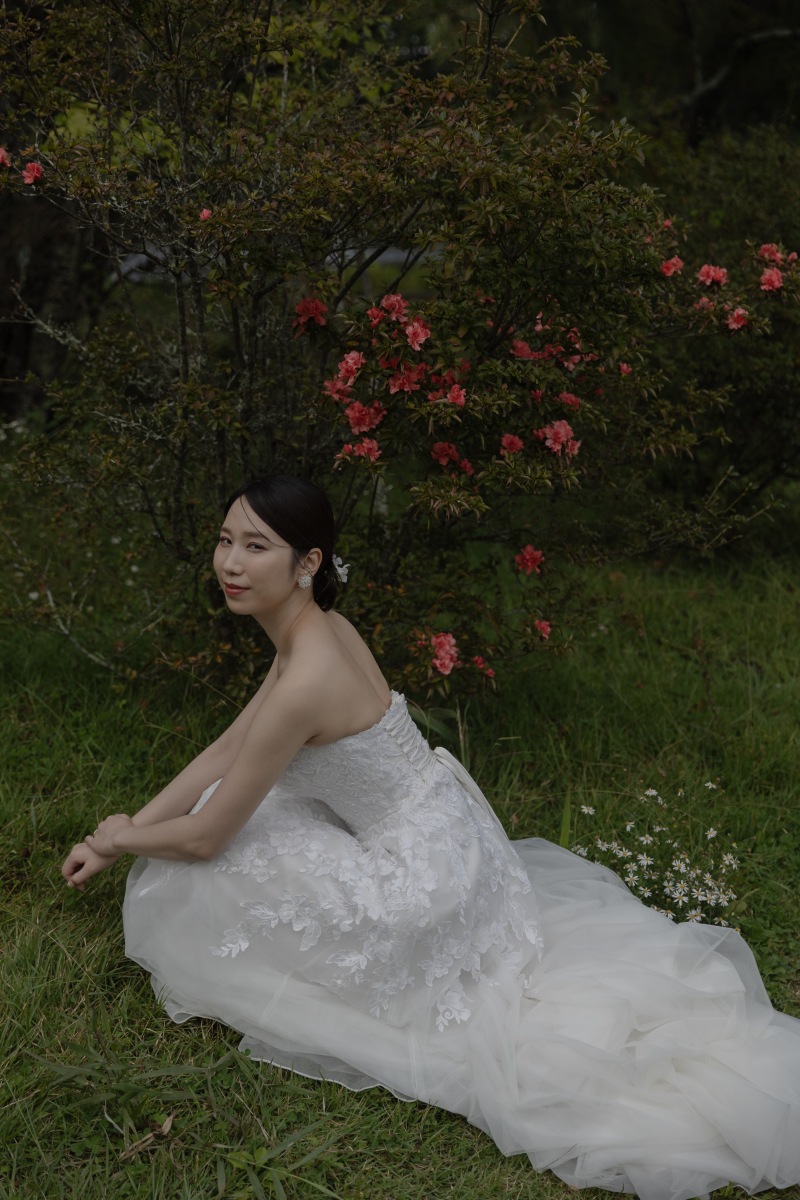 可愛いお花を発見