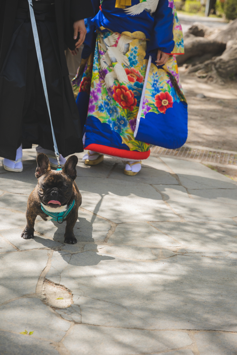 可愛すぎるわんちゃんも一緒に。