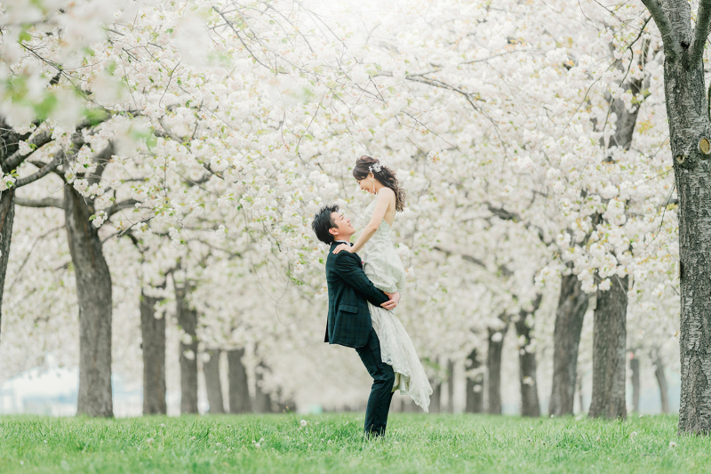 小布施の八重桜