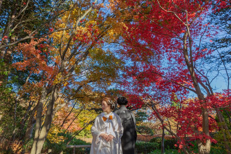 秋の軽井沢周辺