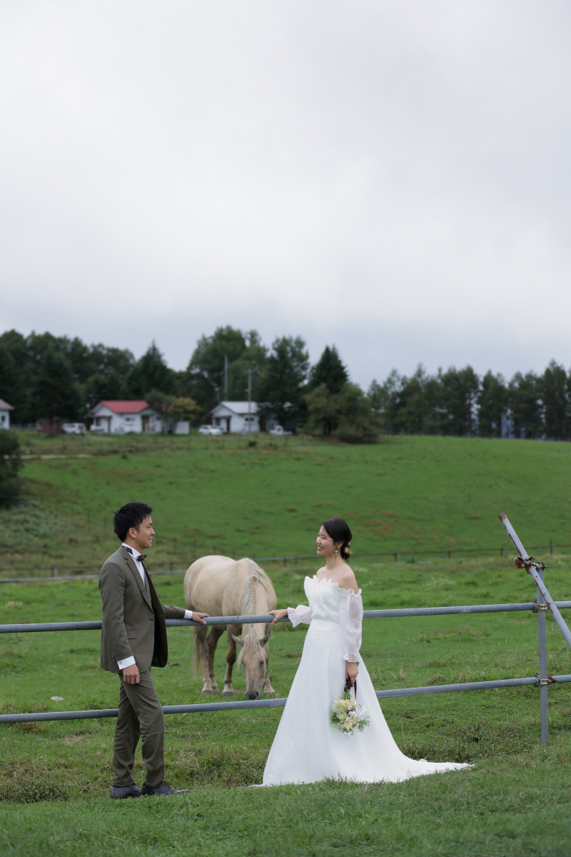 白馬が遊びに来てくれました！