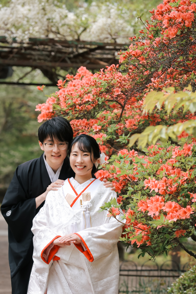 紅梅色のツツジ