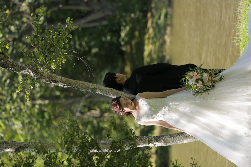 木漏れ日に中で