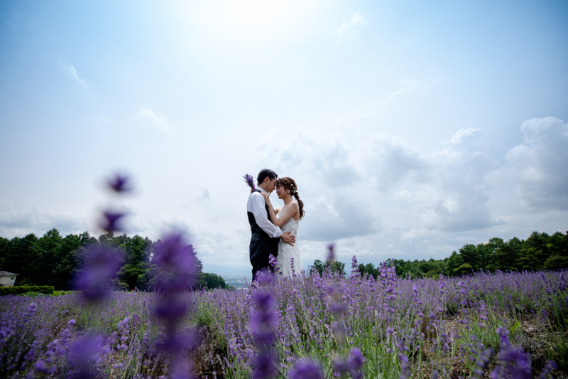 ラベンダーの中で撮影！