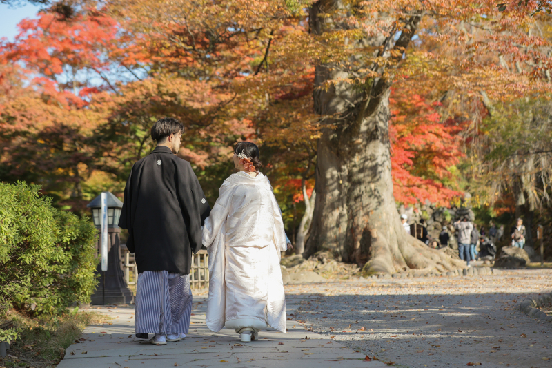 光に照らされる紅葉