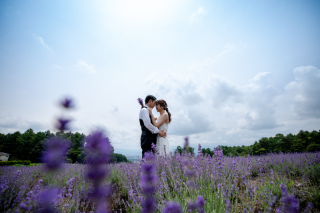 夢ハーベスト農場