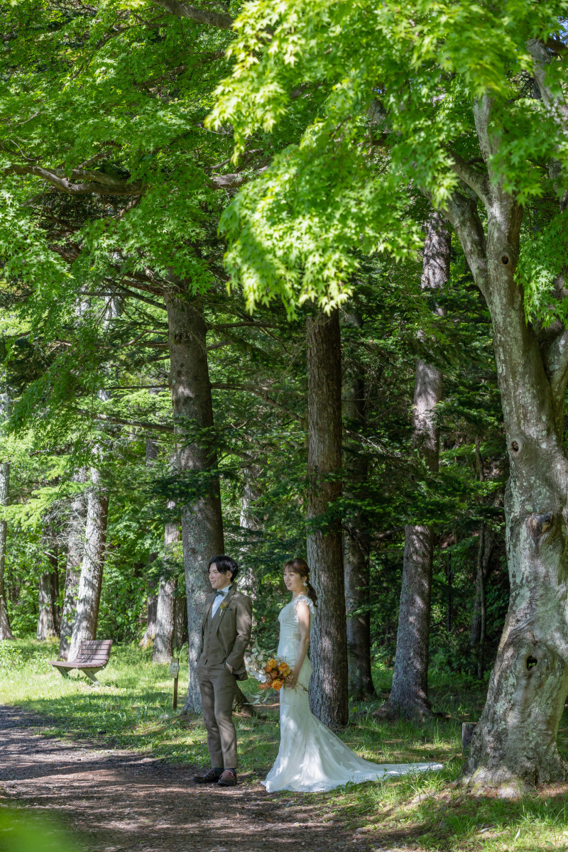 大きな木に囲まれて