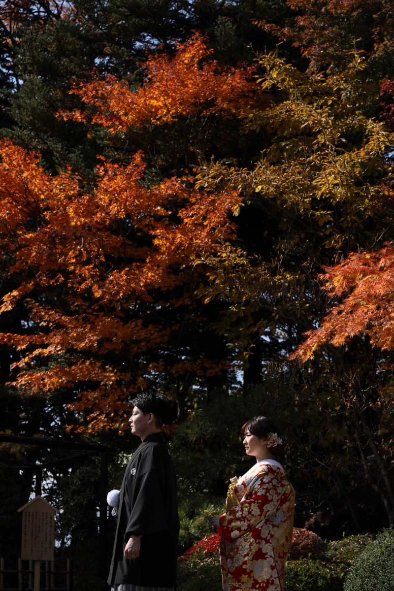 真っ赤な紅葉と