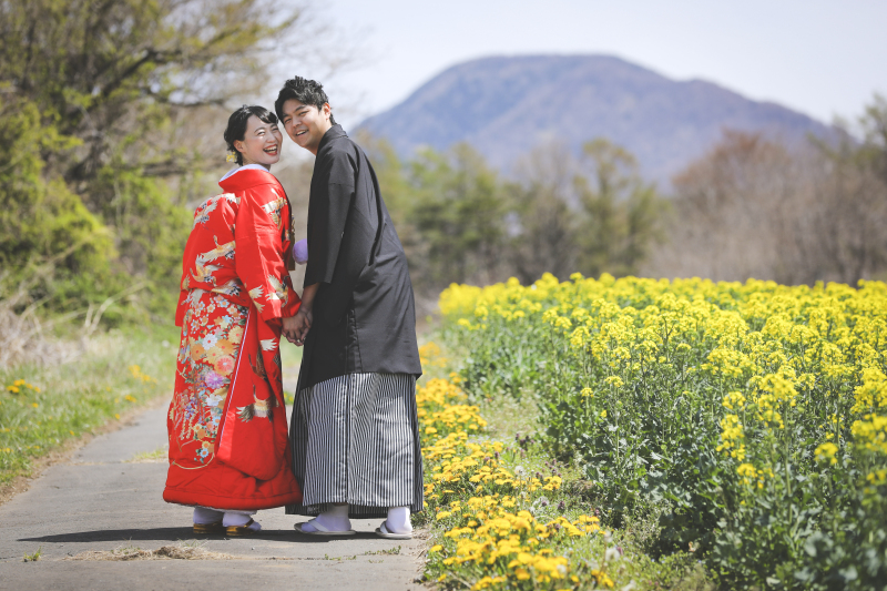 あたり一面の菜の花