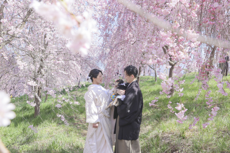 枝垂れ桜に埋もれてみた！