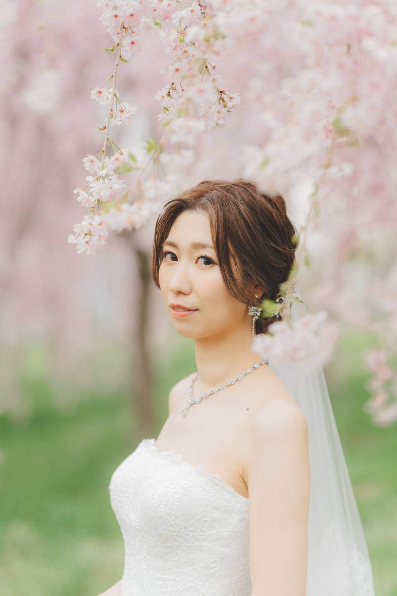 飯綱山公園の桜7