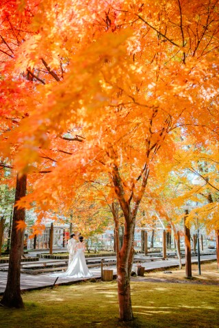 軽井沢紅葉ロケーション