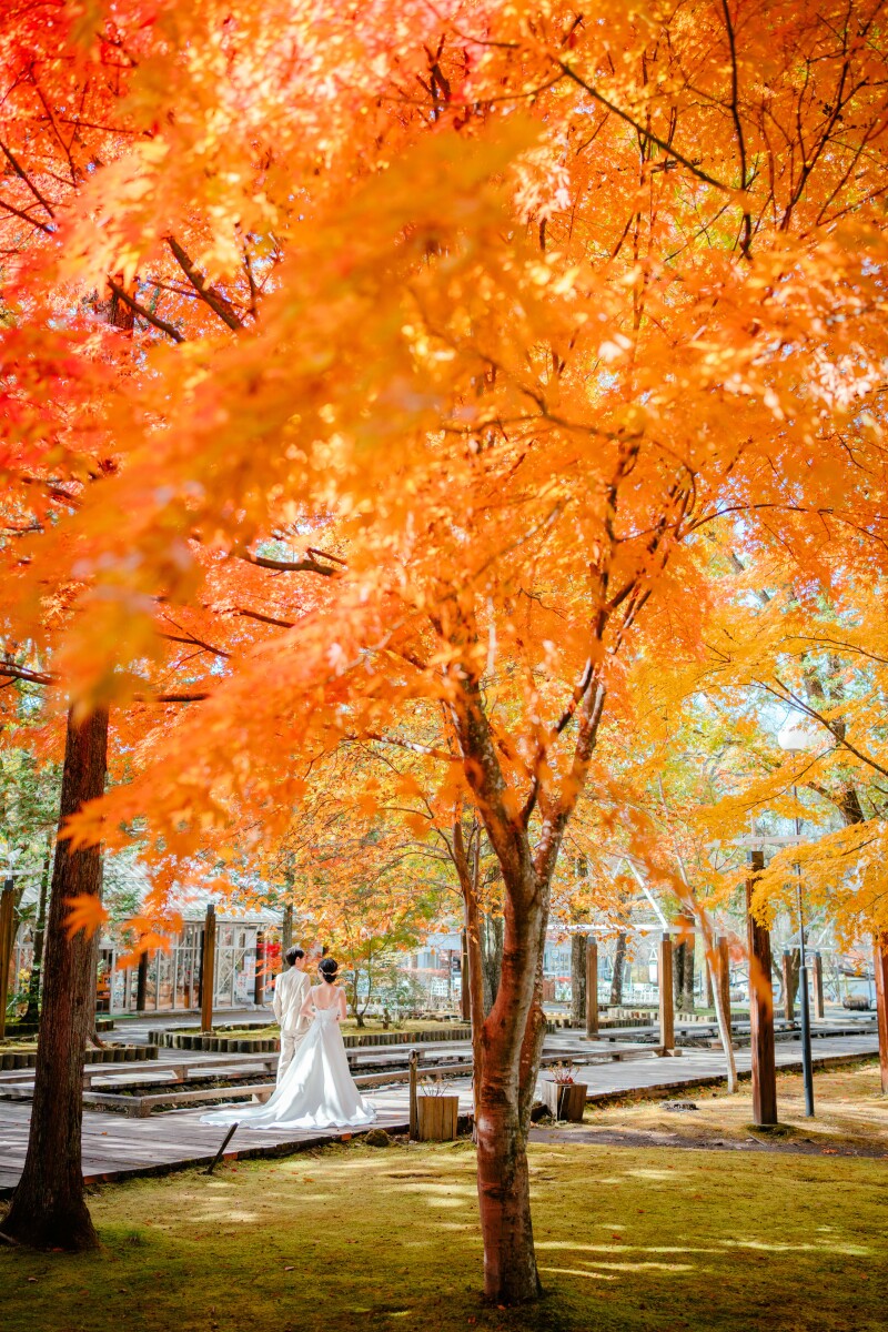 軽井沢紅葉ロケーション