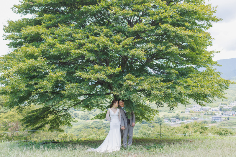 大きな木の下で♪