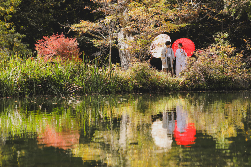 紅葉と反射と、