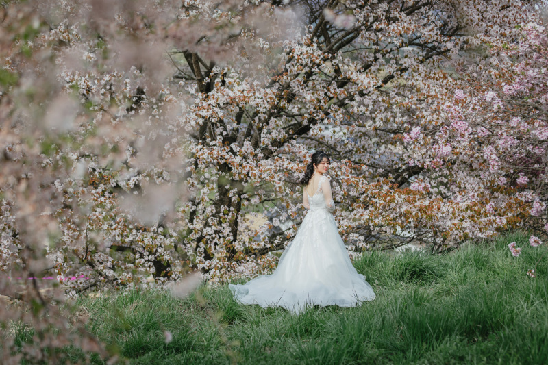 画面いっぱいの