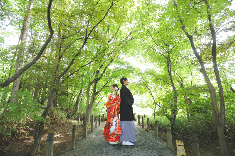 人も少なくてとっても撮影しやすいんです。